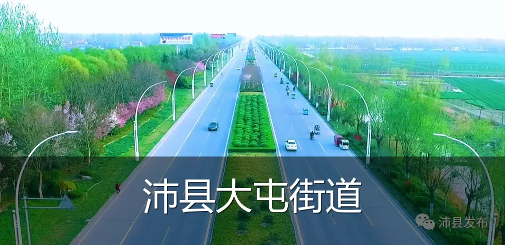 沛县大屯街道
