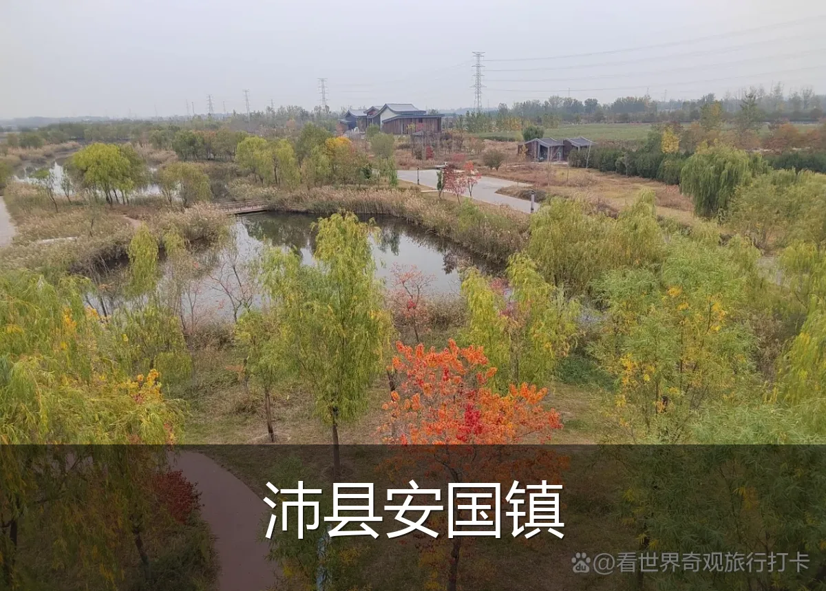 沛县安国镇