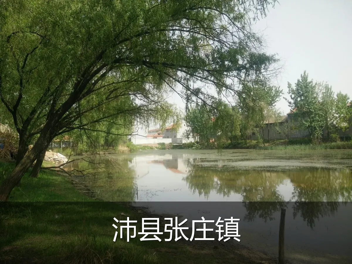 沛县张庄镇