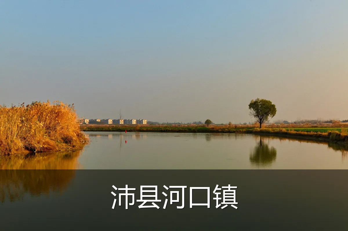沛县河口镇